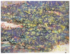 陈九藤森象主义作品 -SXG0039