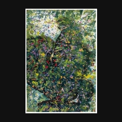 陈九藤森象主义作品 -SXG0046