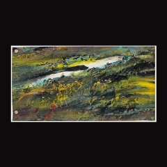 陈九藤森象主义作品 -SXG0085